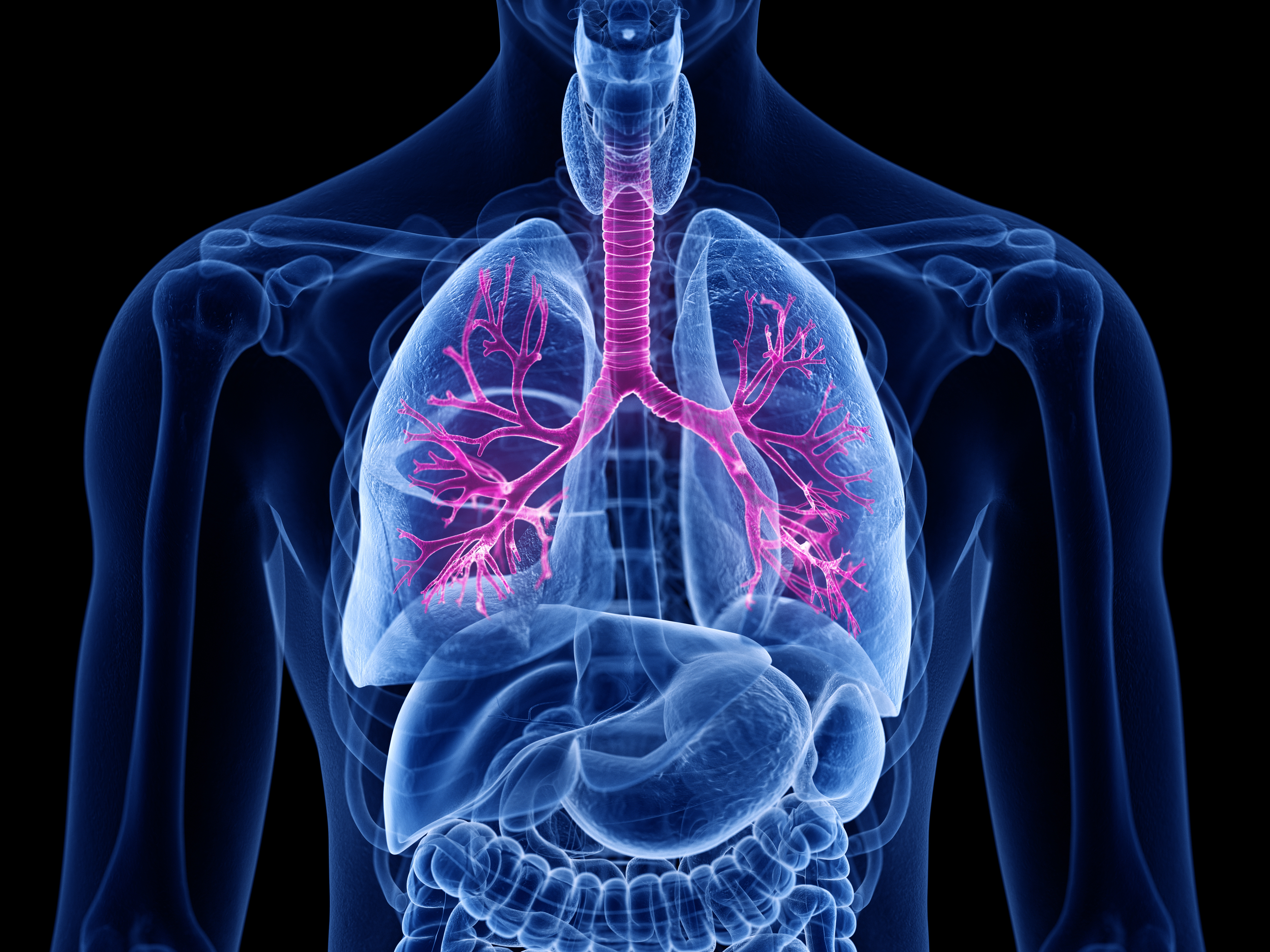 Image for COPD session