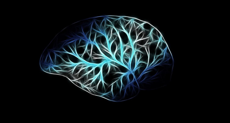 Alzheimer's Disease and Related Dementias