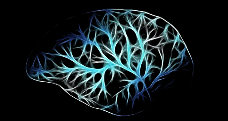 Alzheimer's Disease and Related Dementias