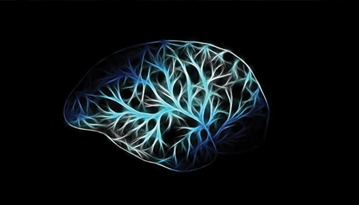 Alzheimer's Disease and Related Dementias