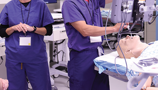 Scaling Safety: Adapting the DART Program for Regional and Rural Hospitals in Idaho